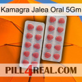 Kamagra Oral Jelly 5Gm 19